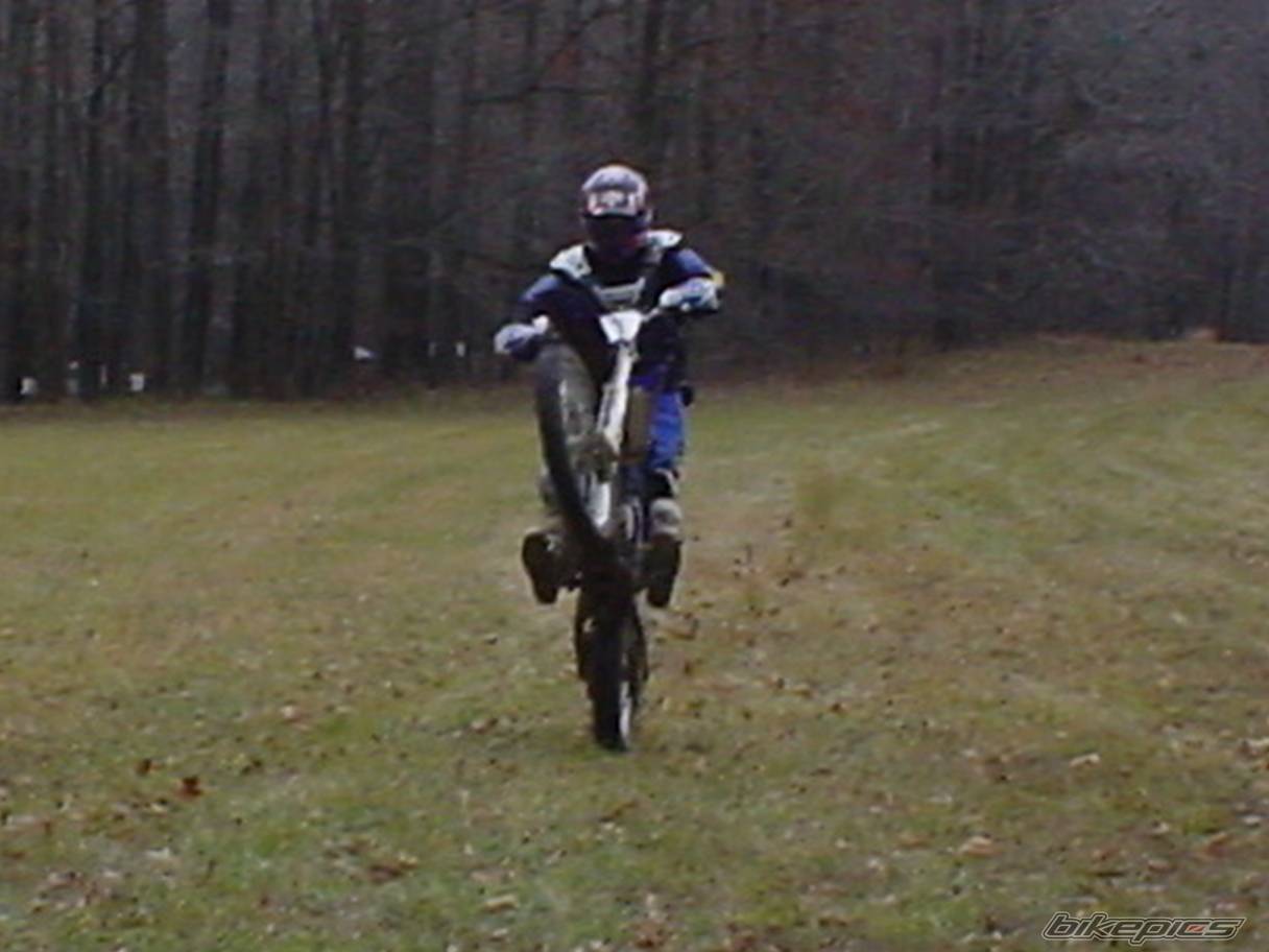 Bike Photo 306526