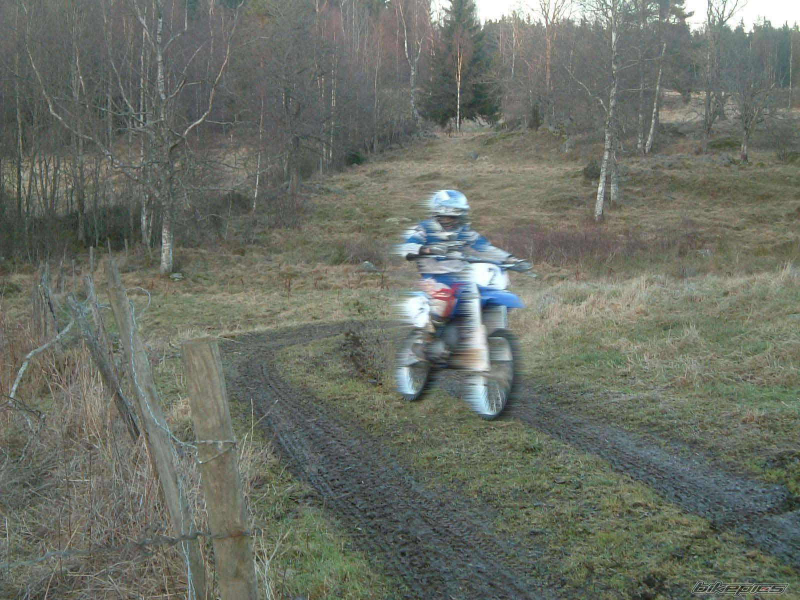 Bike Photo 306548