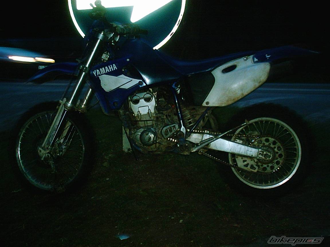 Photo 306569