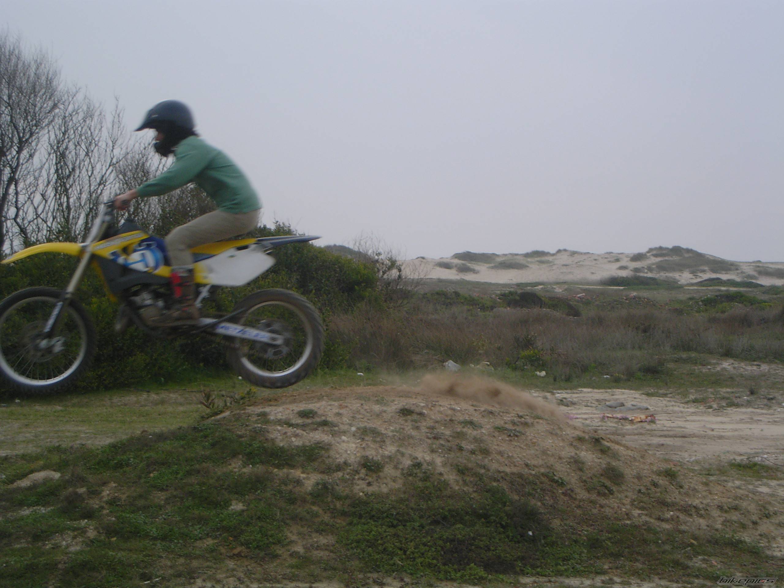 Photo 306585