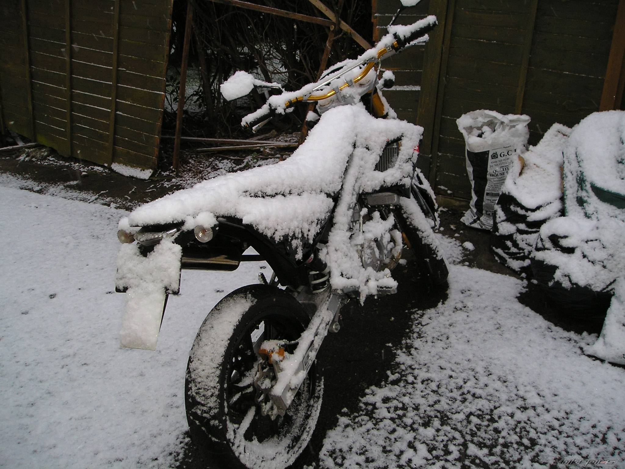 Photo 306724