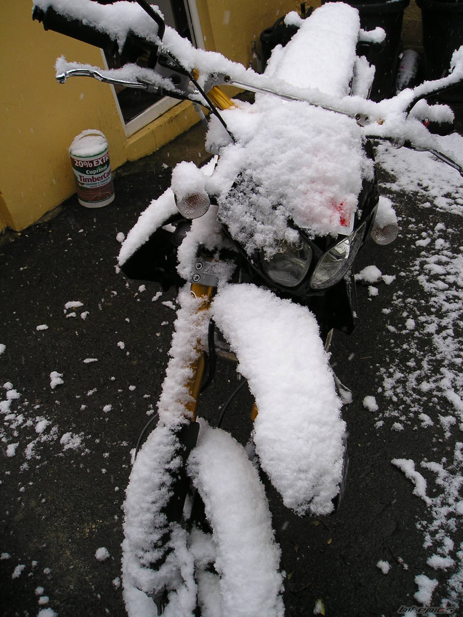 Bike Photo 306735