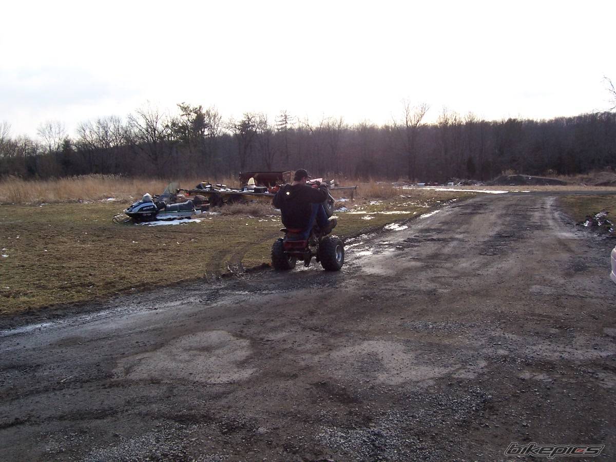 Photo 306811
