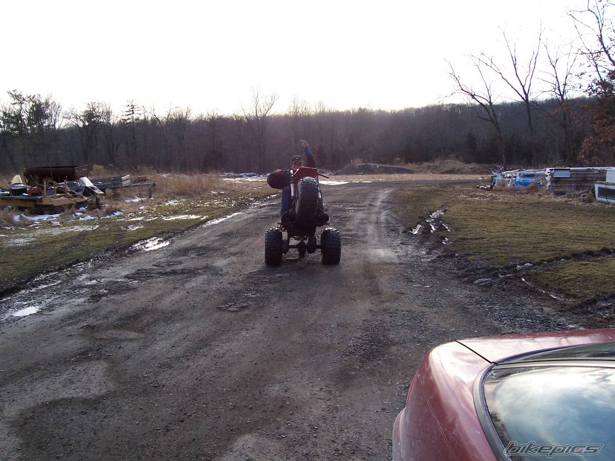 Photo 306812