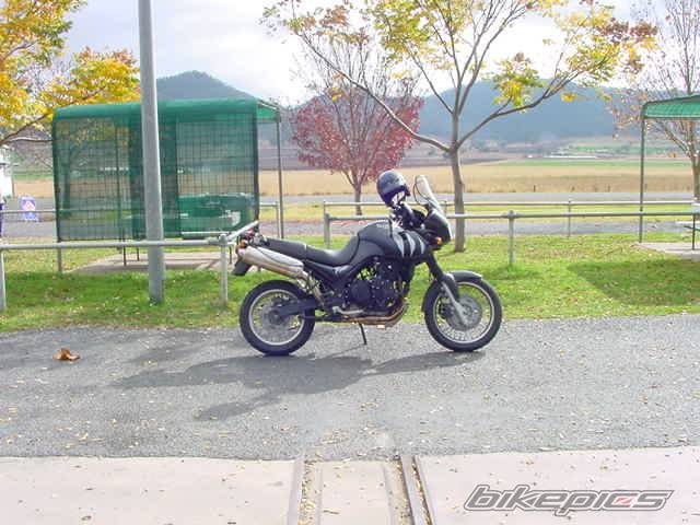 Photo 30686