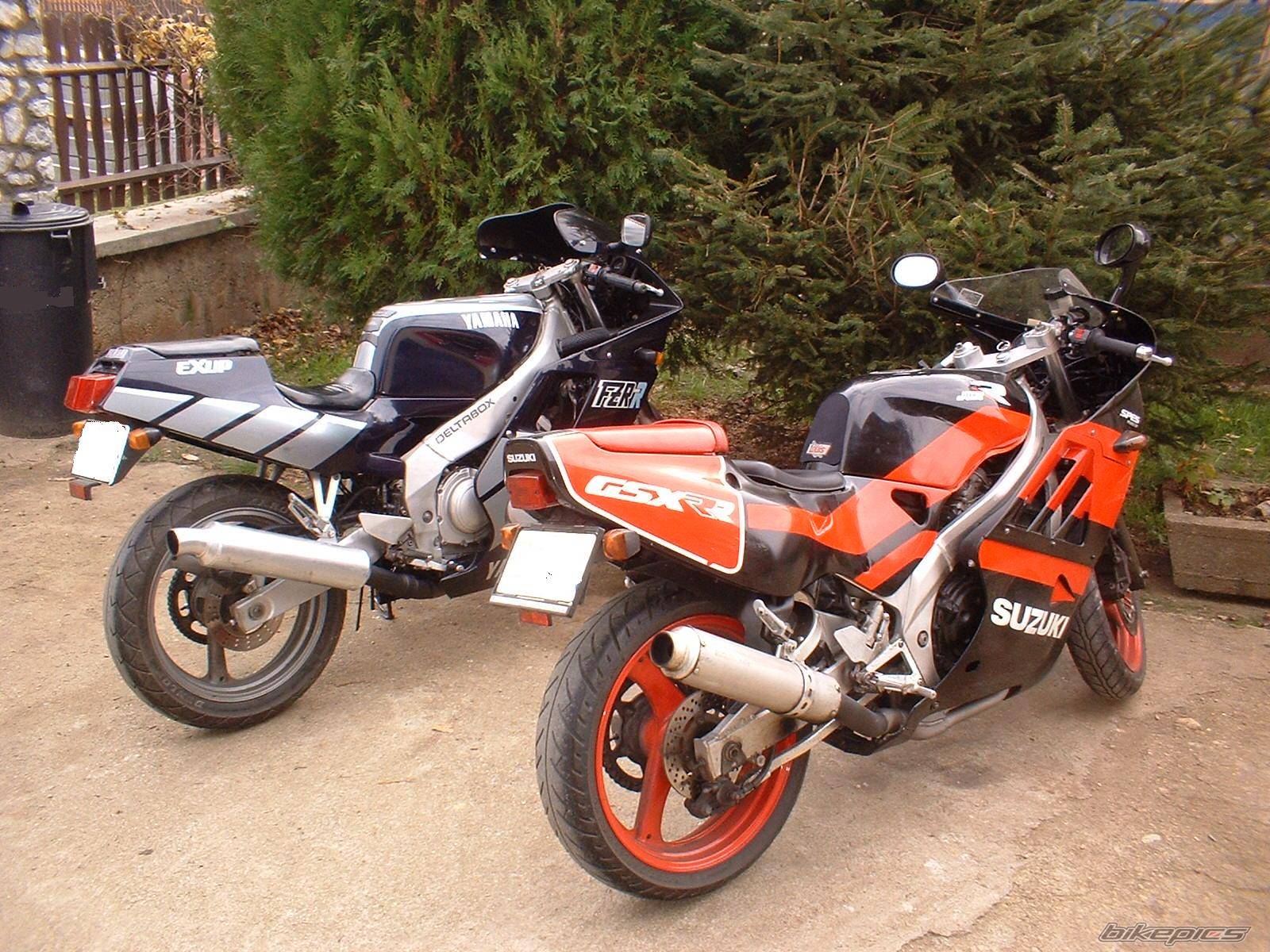 Photo 307002