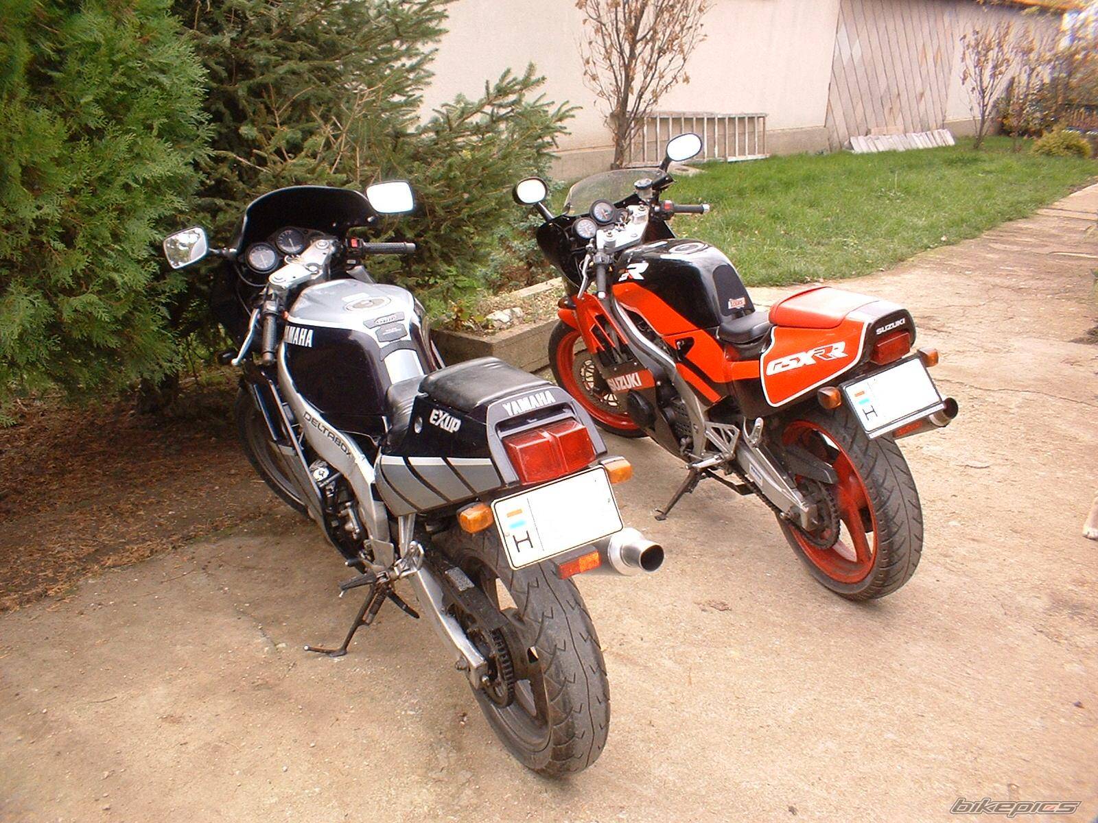 Photo 307003