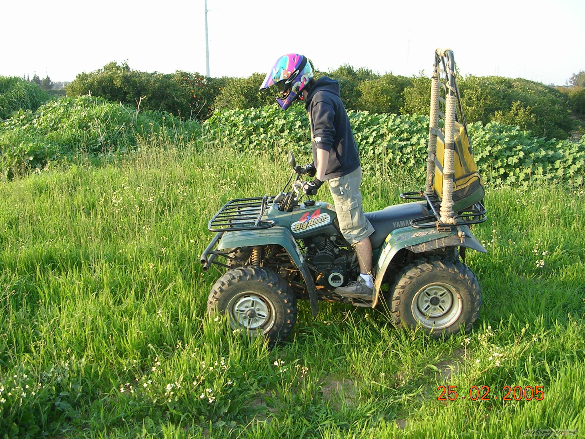 Photo 307011