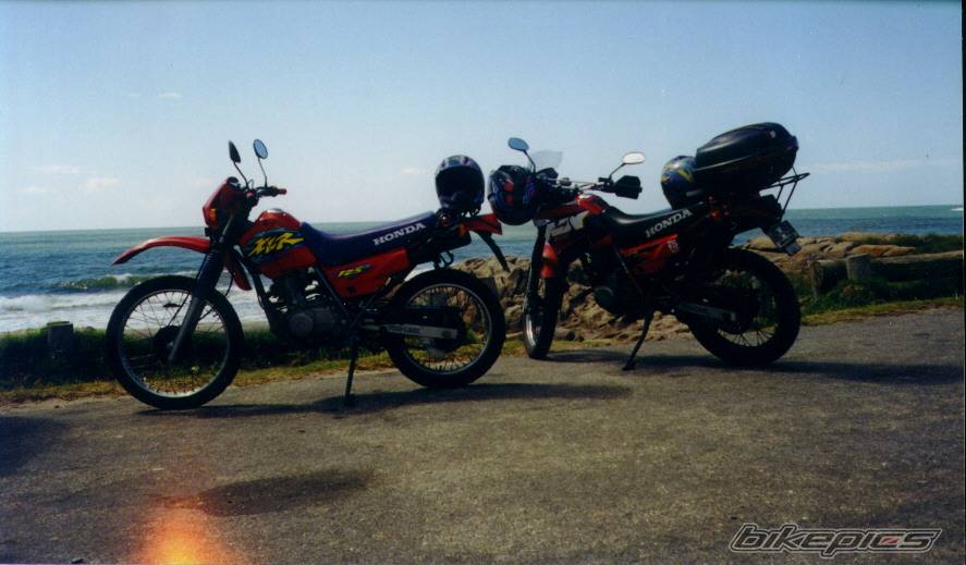 Photo 307052