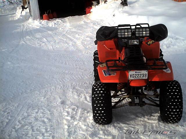 Photo 307062