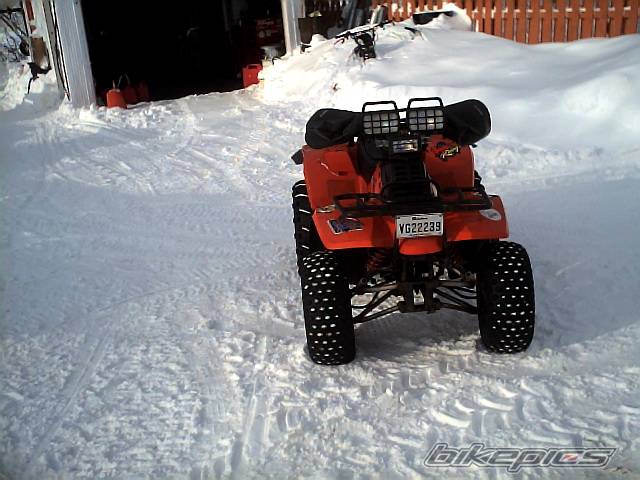 Photo 307063