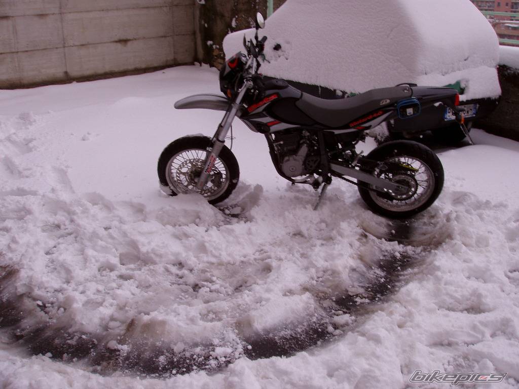 Photo 307151
