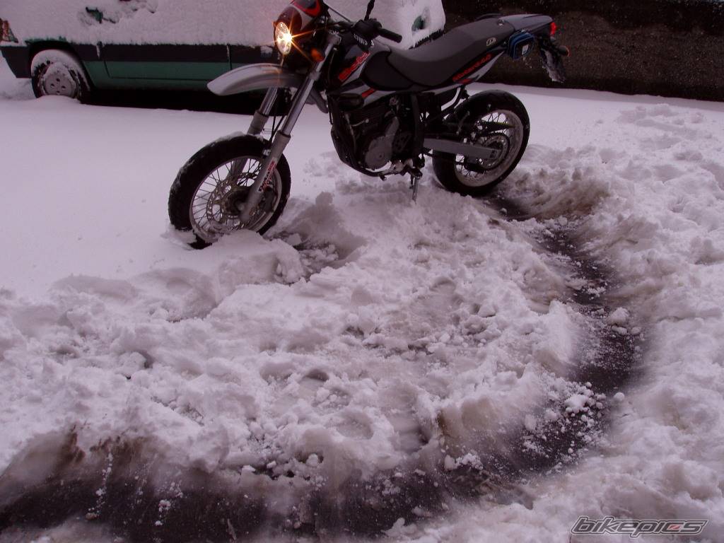 Photo 307152