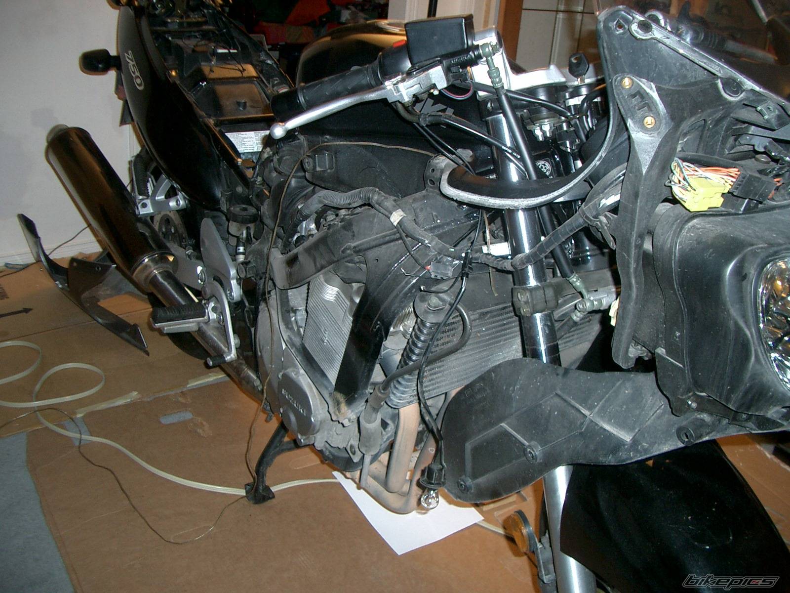 Bike Photo 307302