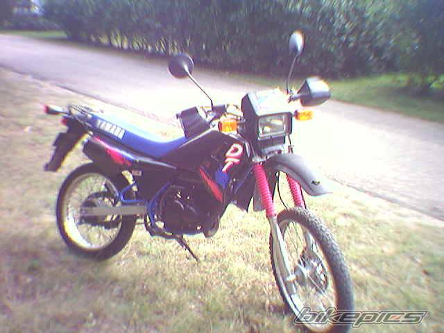 Photo 307352