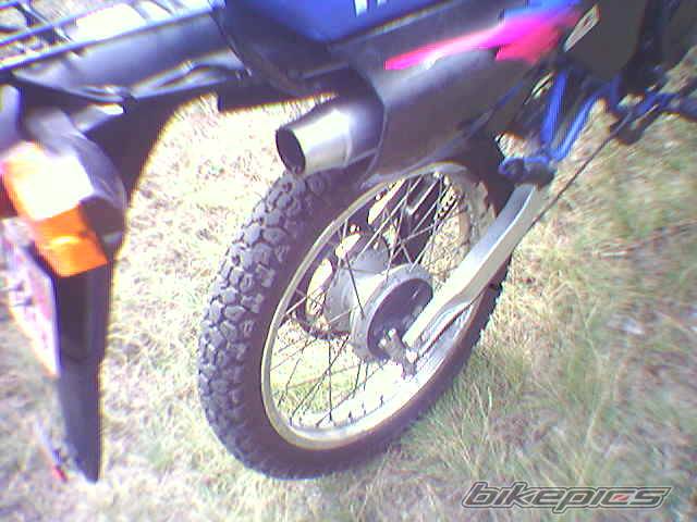Photo 307353