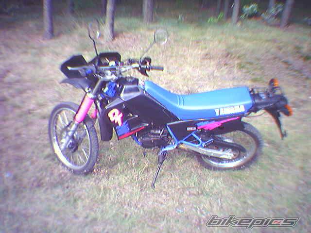 Photo 307356