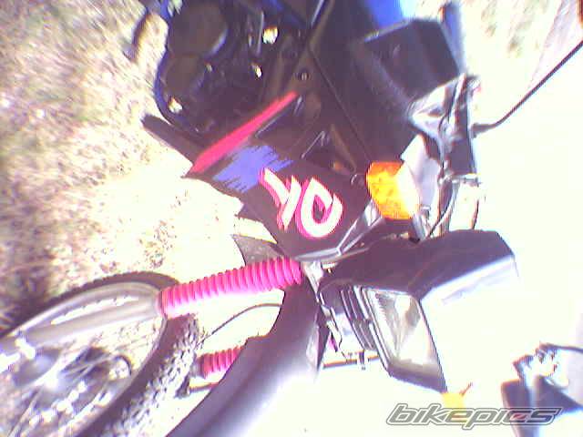 Photo 307357