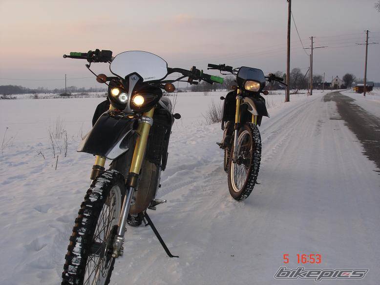 Photo 307397