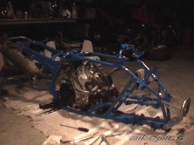 Photo 307450