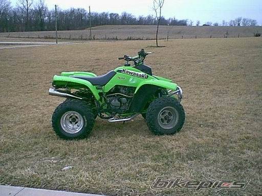 Photo 307455