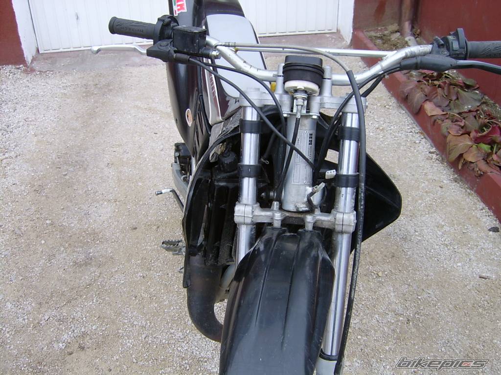 Photo 307512