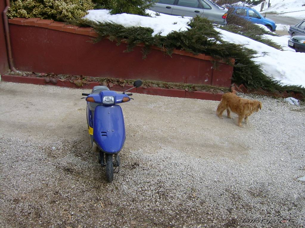 Bike Photo 307542