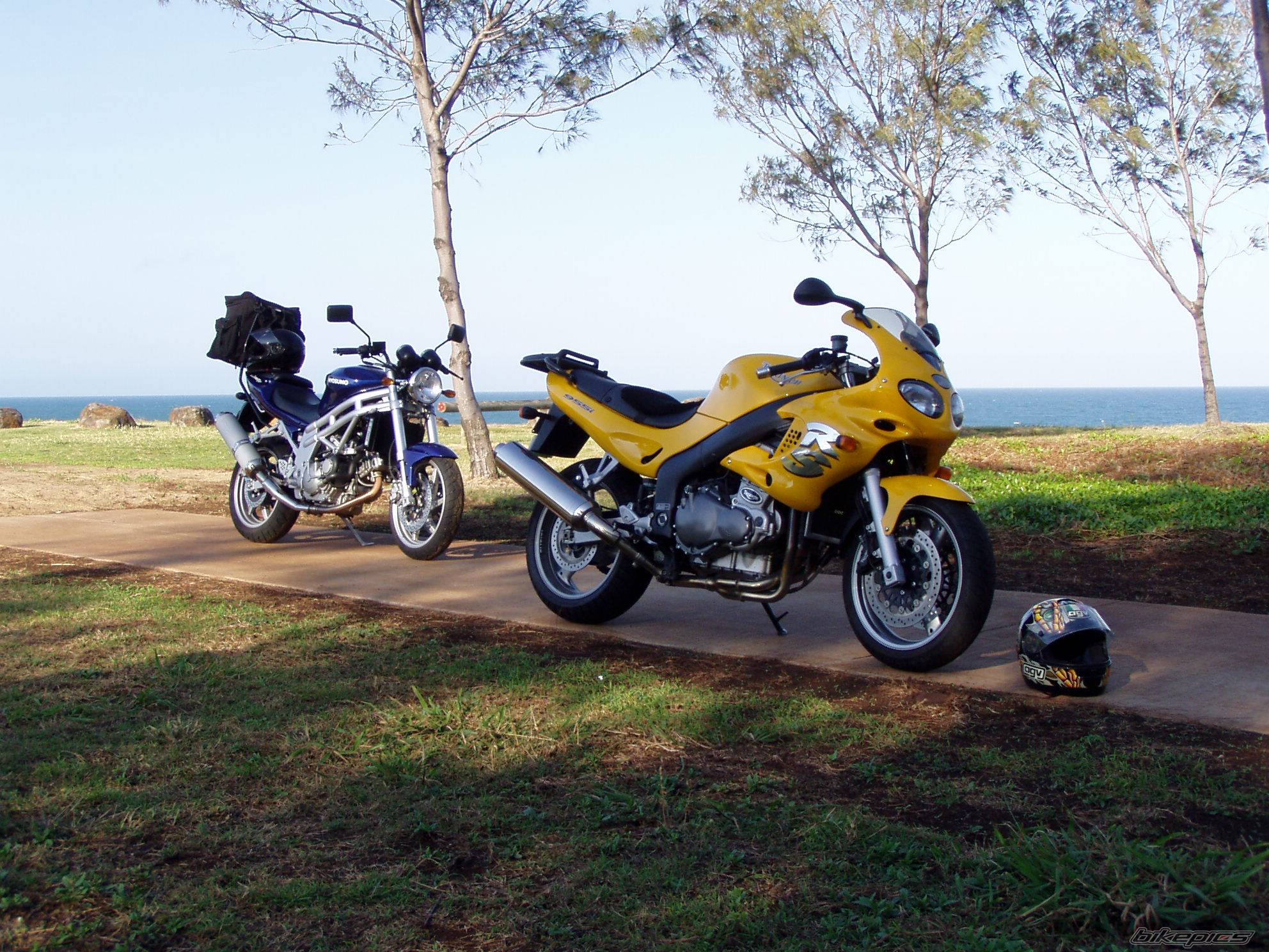 Bike Photo 307551