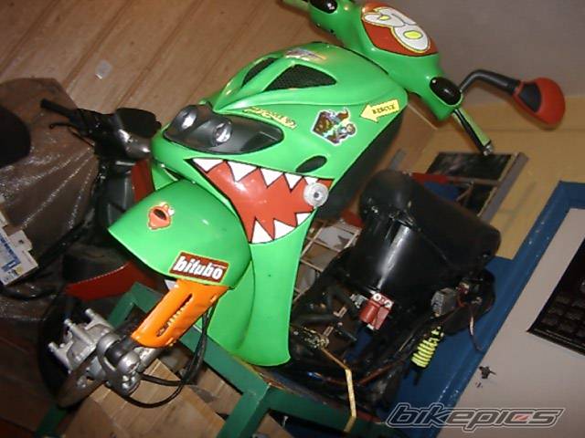 Photo 307615