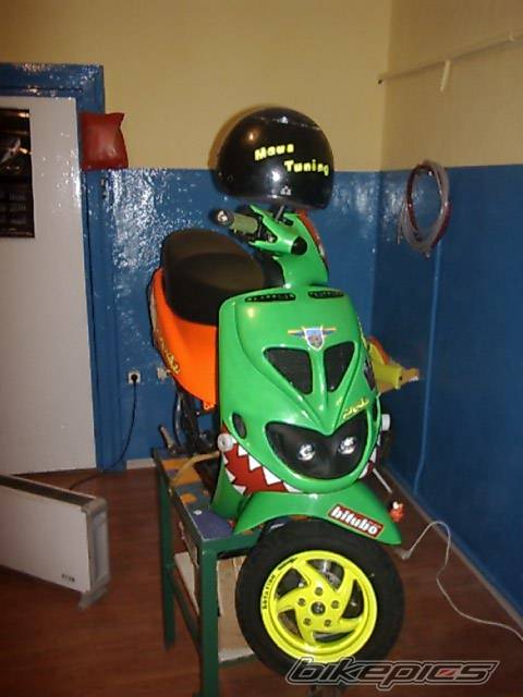Photo 307616