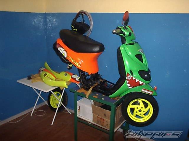 Photo 307617
