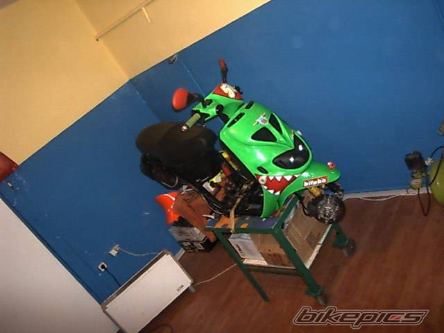 Photo 307620