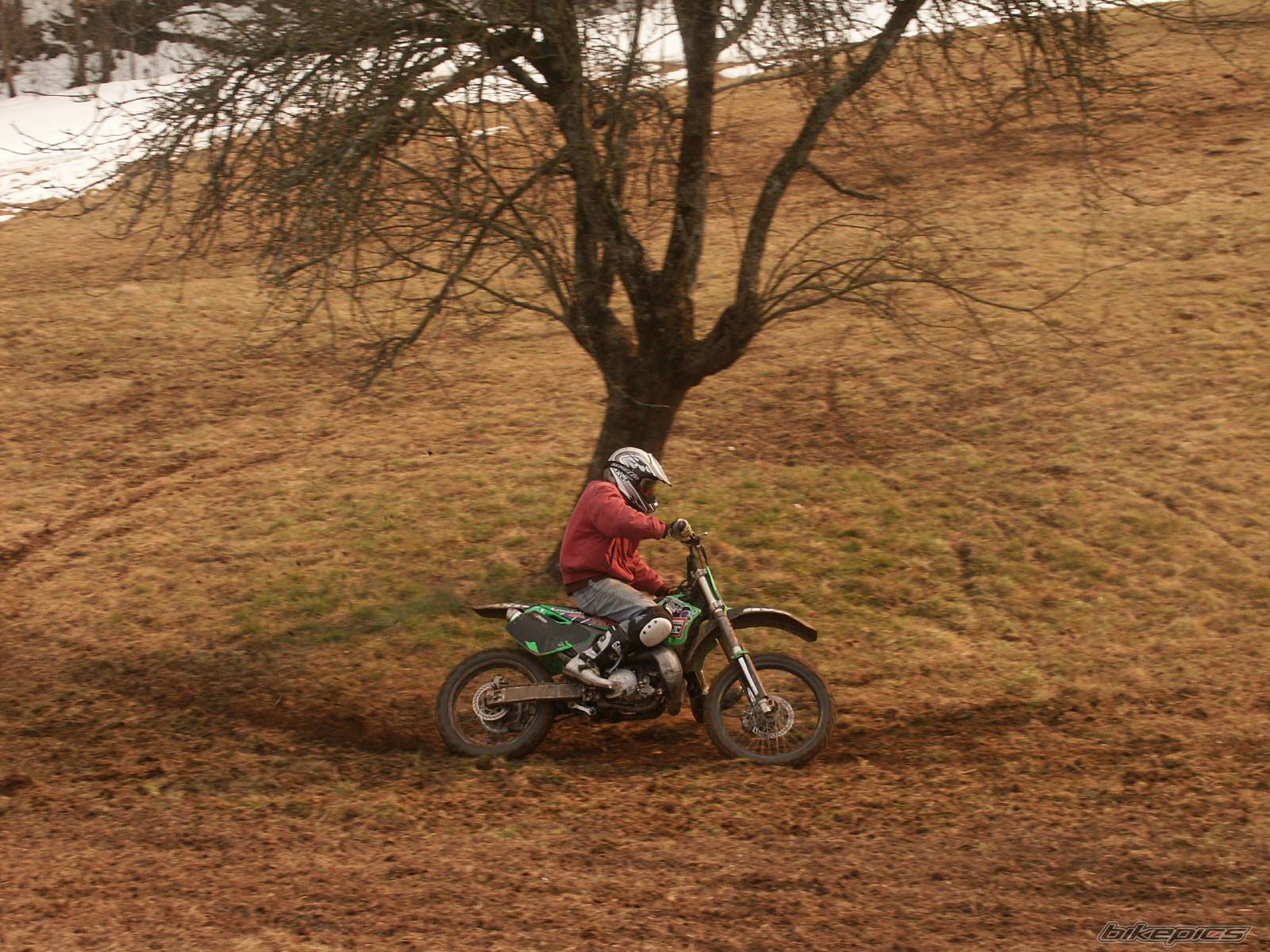 Bike Photo 307654