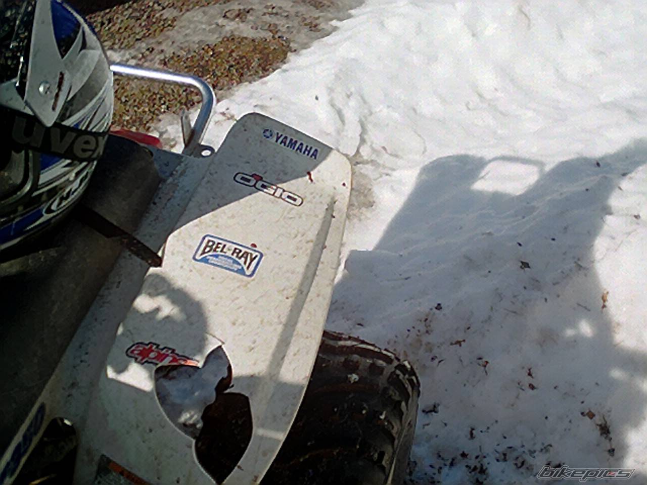 Photo 307789