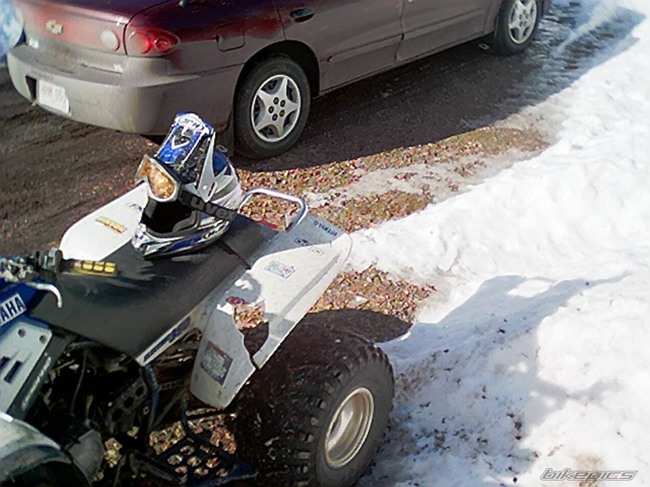 Photo 307790