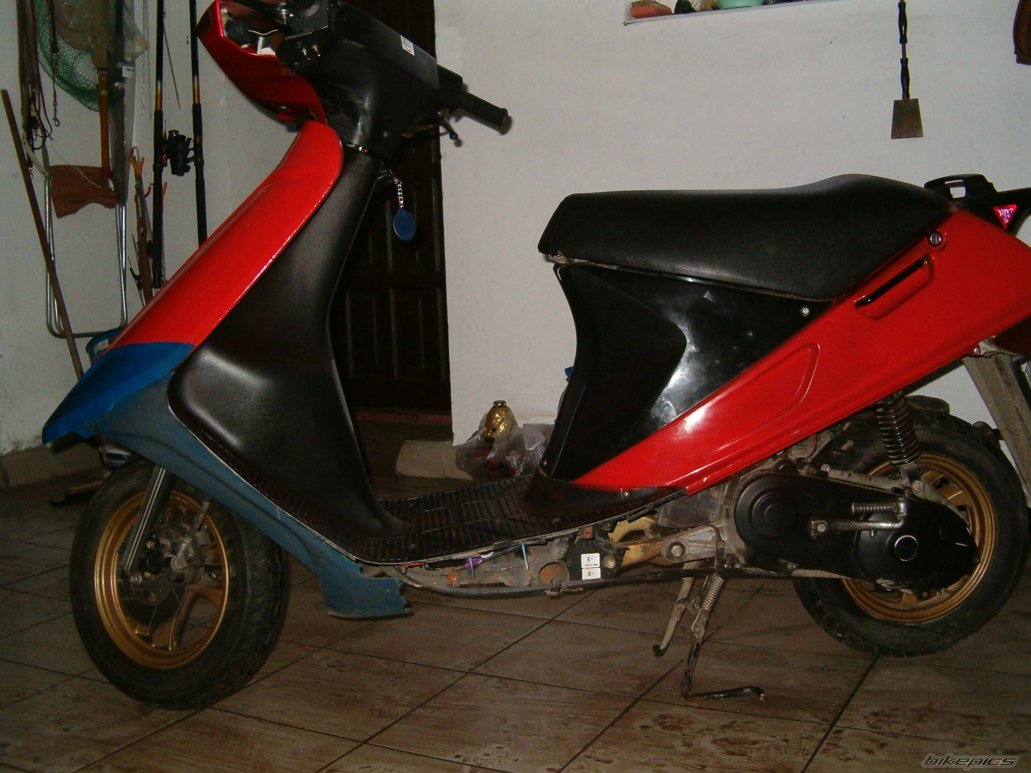 Photo 307794