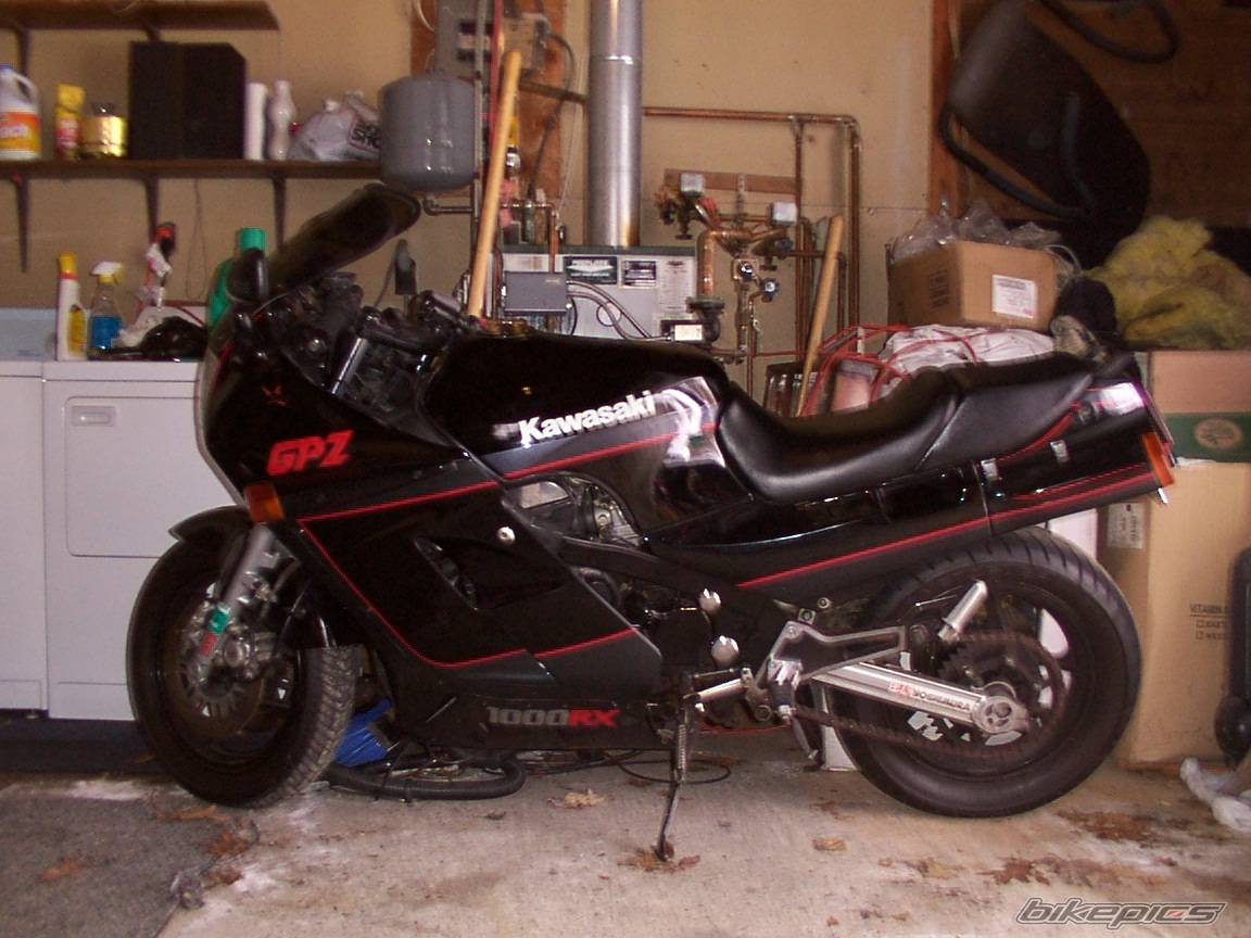Photo 307879