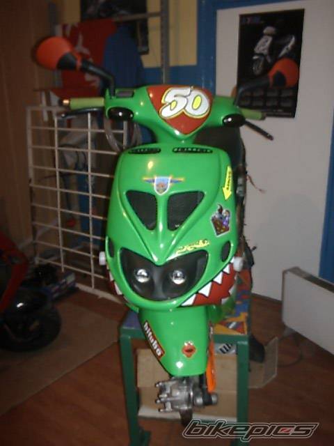 Photo 307942