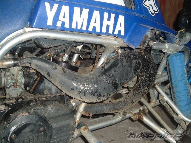 Photo 307951