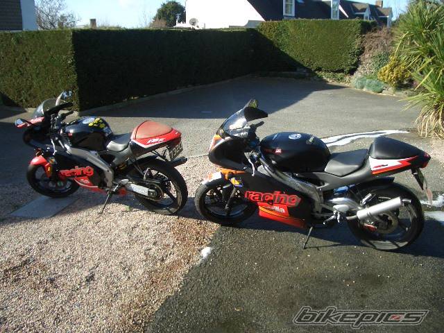 Photo 308002