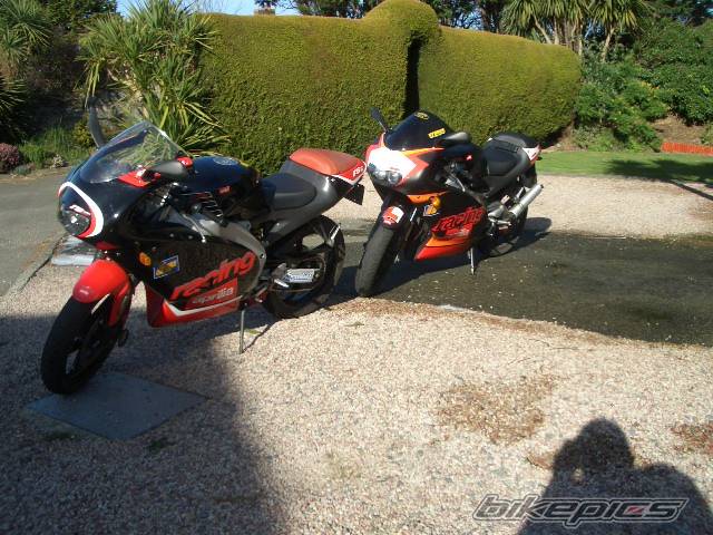 Photo 308006