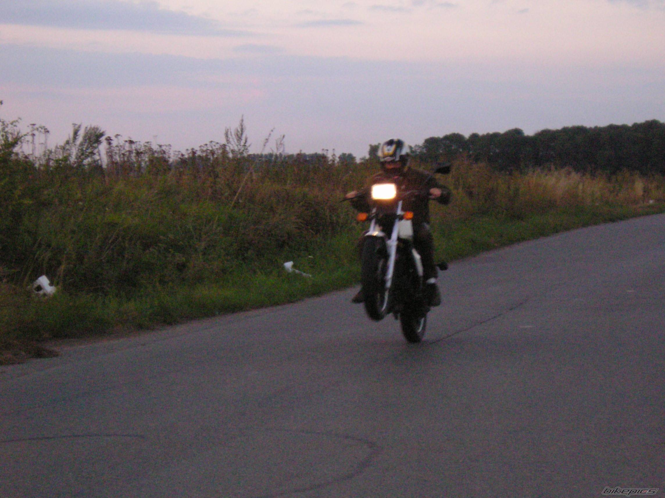Photo 308023