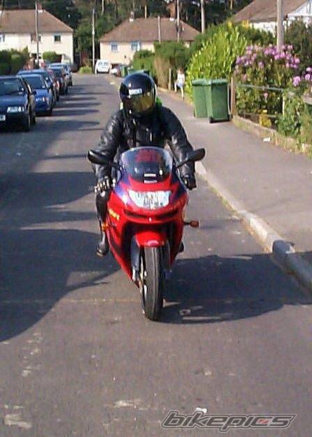 Photo 3081