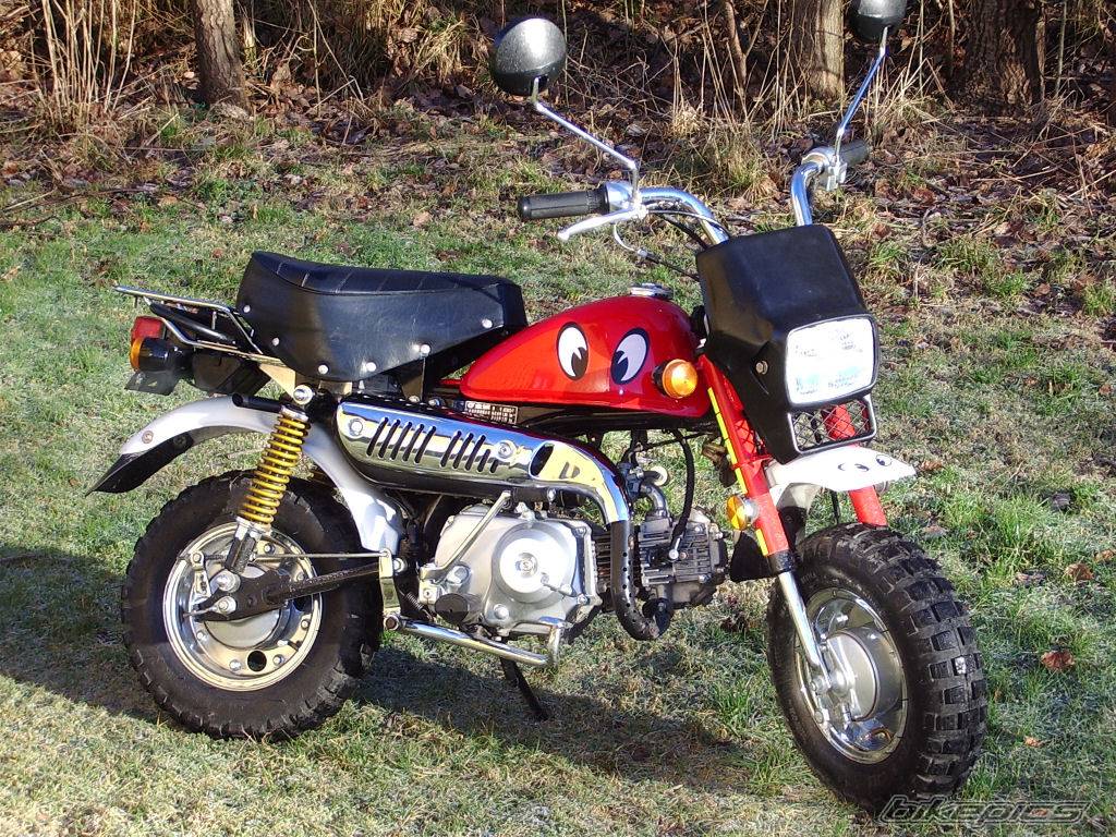 Bike Photo 308217