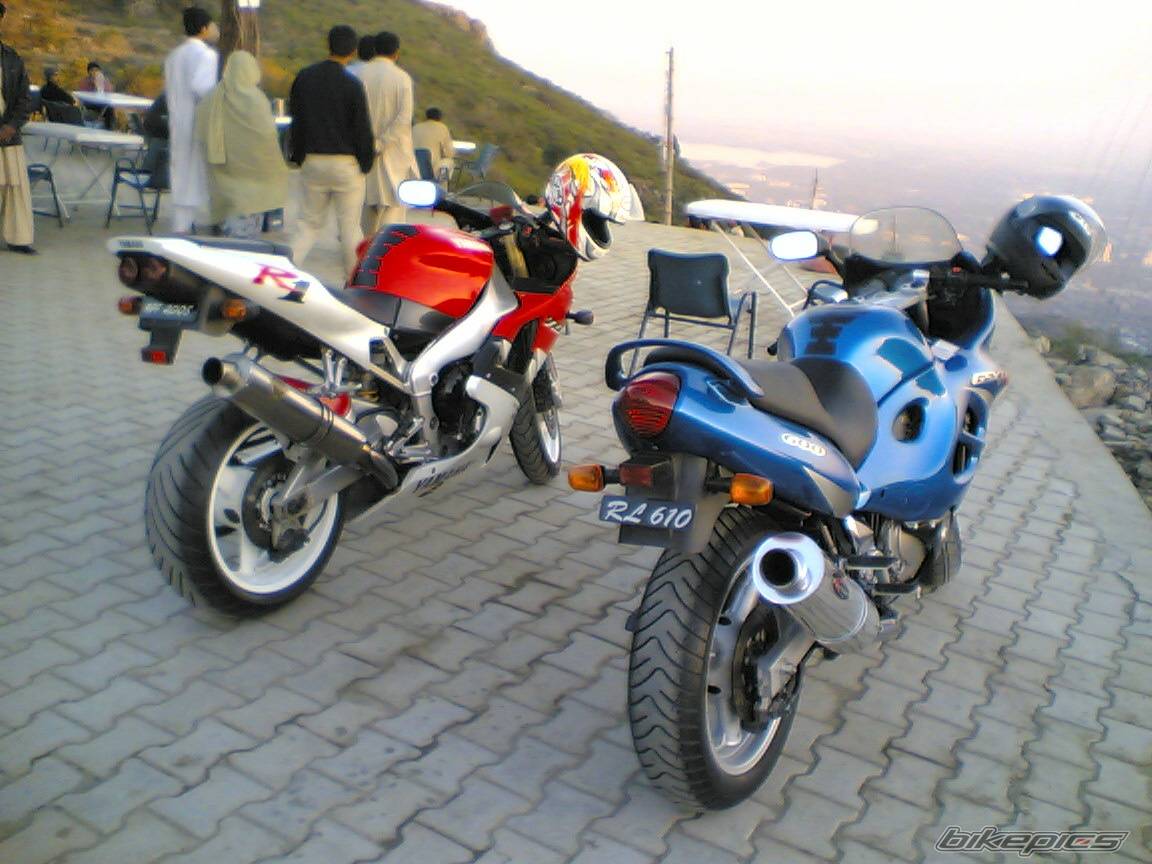 Photo 308271