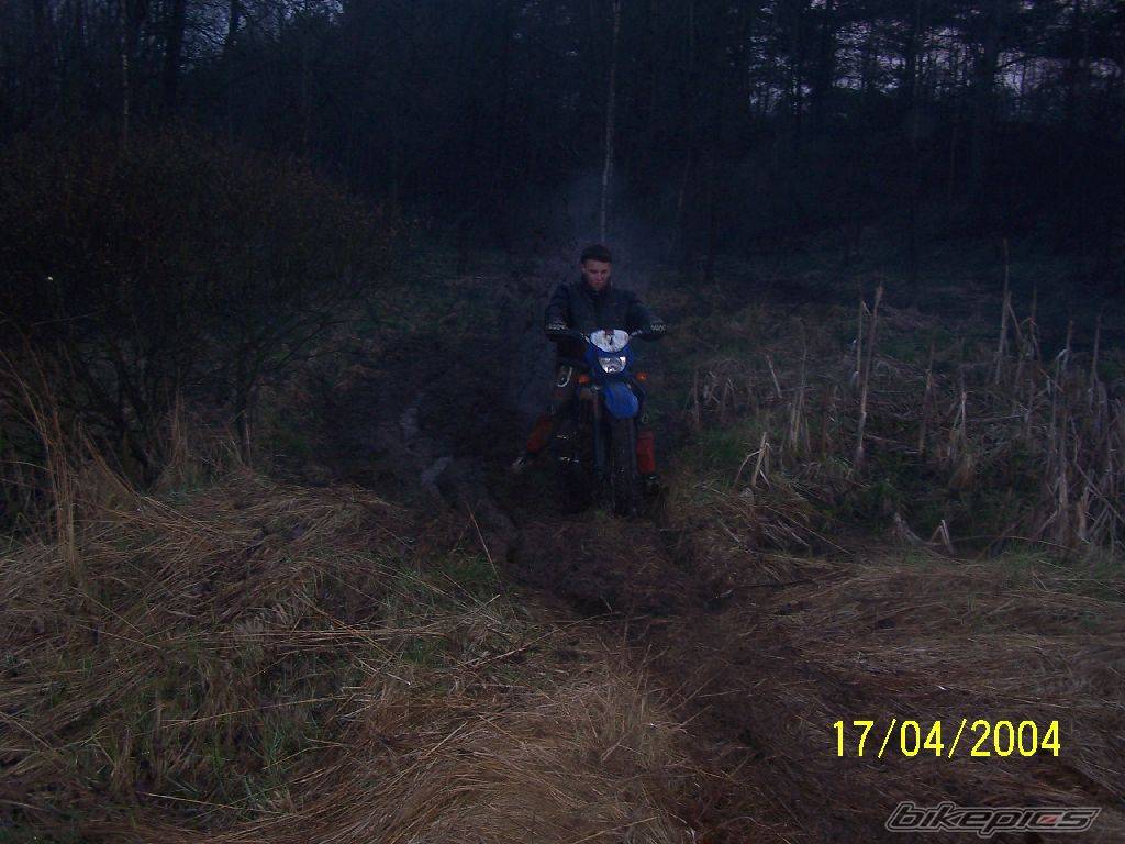 Photo 308307