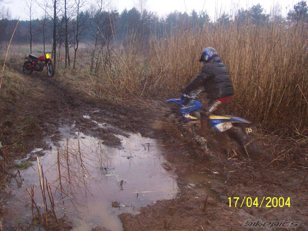 Photo 308312