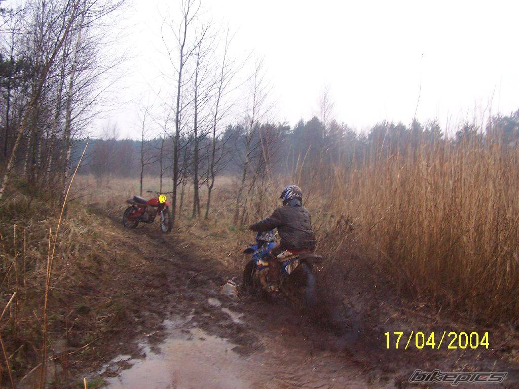Photo 308313