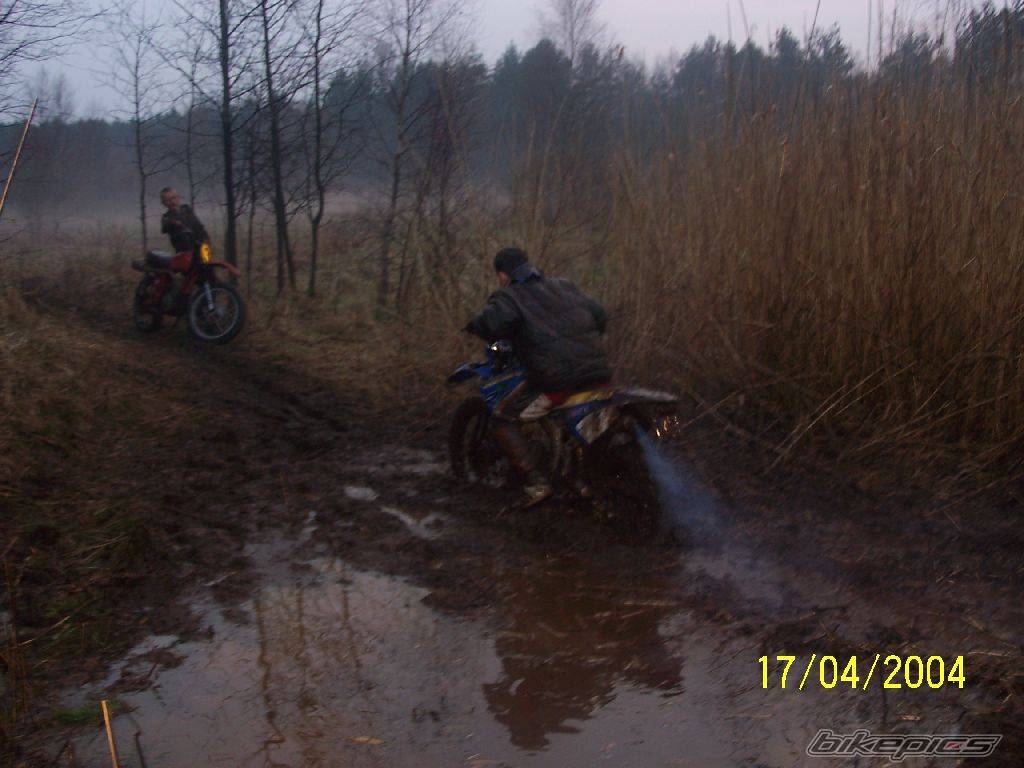 Photo 308314