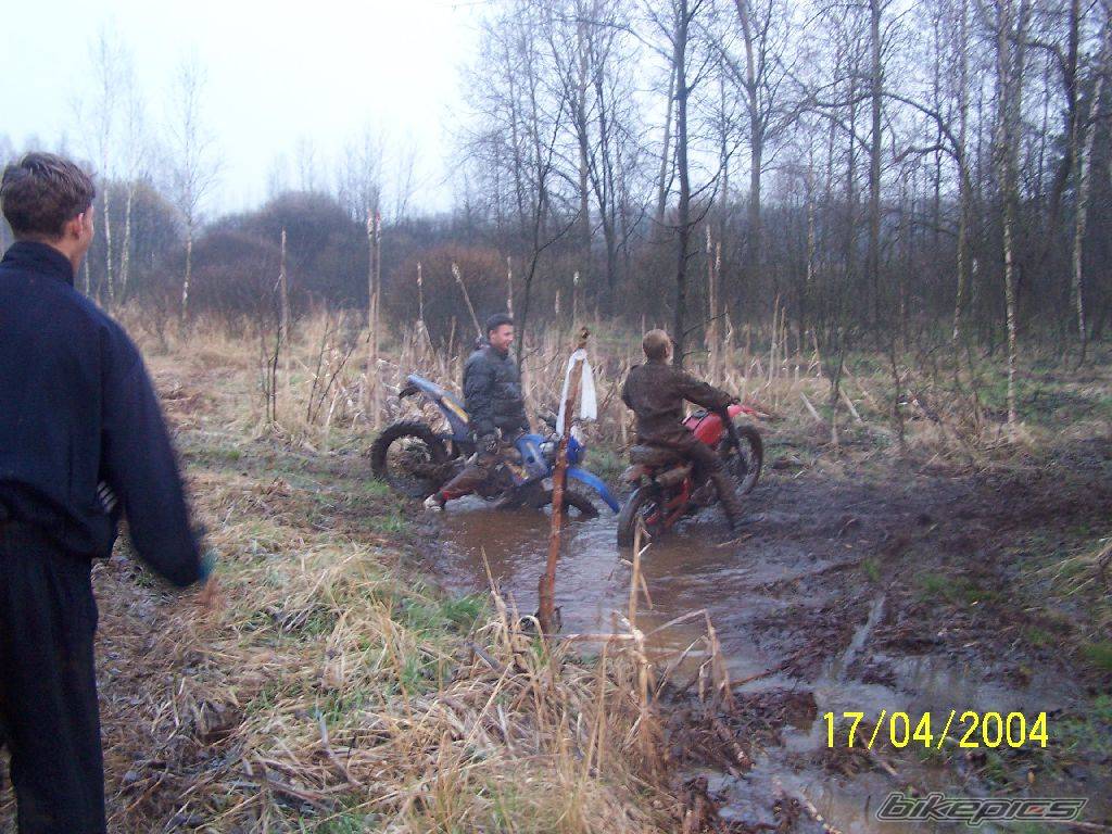 Photo 308316